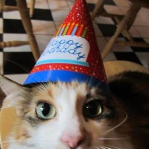 Meet your Posher, Jacque